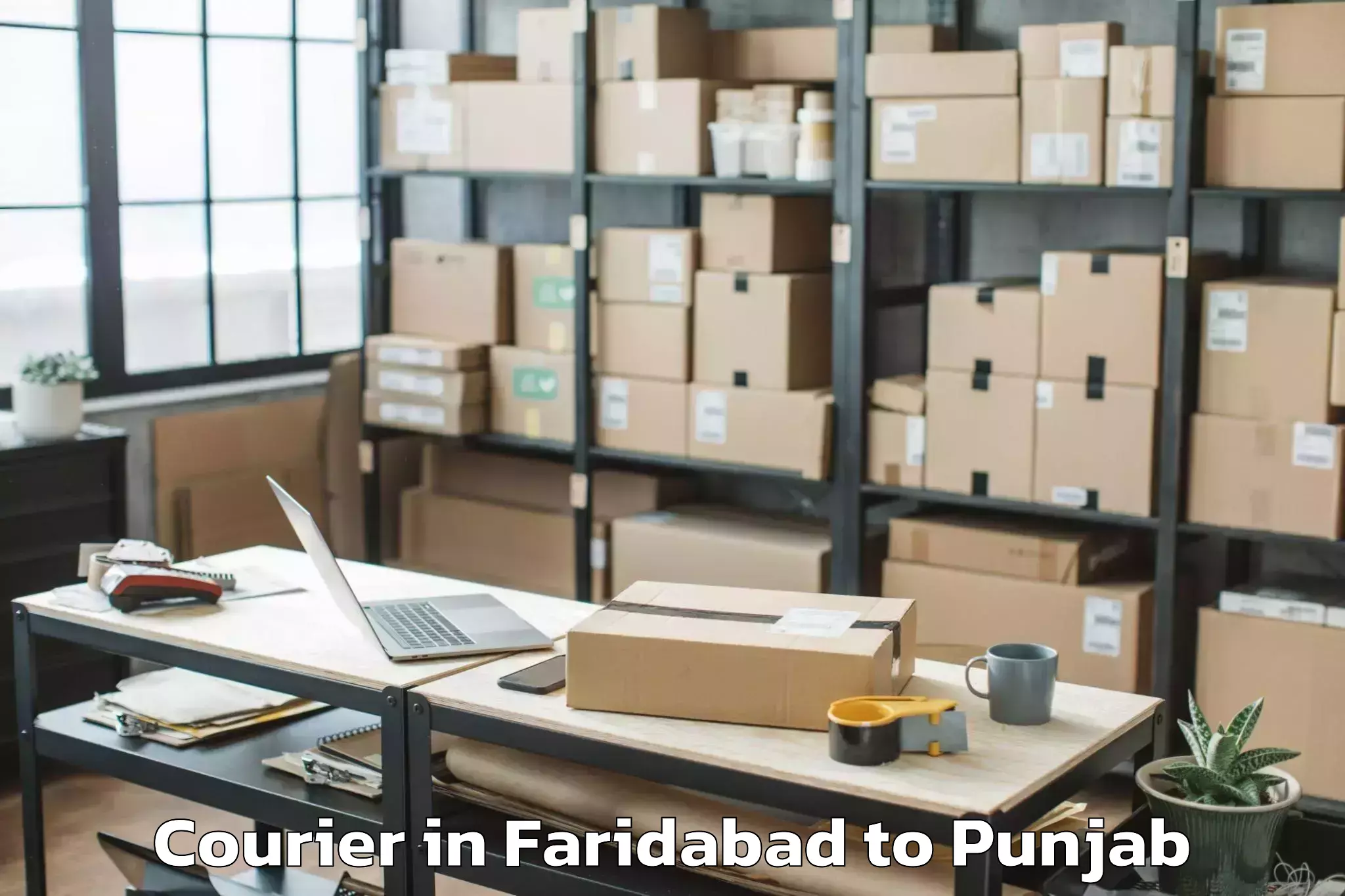 Efficient Faridabad to Moonak Courier